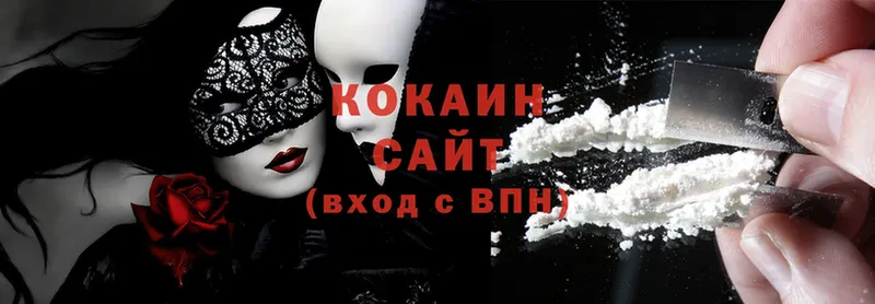 ссылка на мегу ССЫЛКА  Завитинск  Cocaine Fish Scale  цены наркотик 