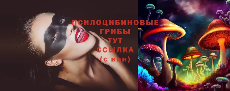 Псилоцибиновые грибы Magic Shrooms  продажа наркотиков  Завитинск 